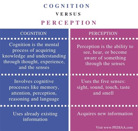 Perception – Cognition.